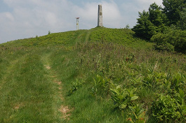 Minčol