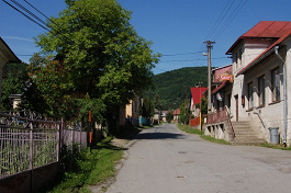 Šiba