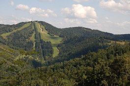 Lysá